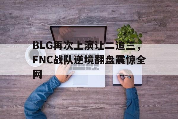 乐鱼娱乐APP-BLG再次上演让二追三，FNC战队逆境翻盘震惊全网