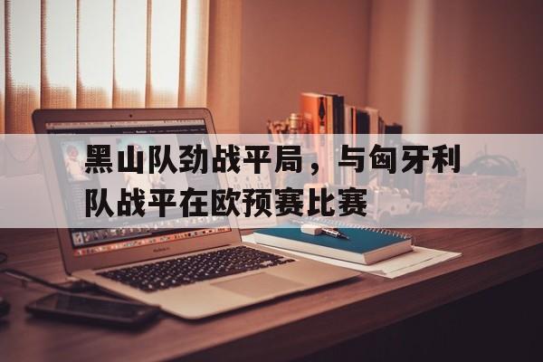 乐鱼娱乐APP-黑山队劲战平局，与匈牙利队战平在欧预赛比赛